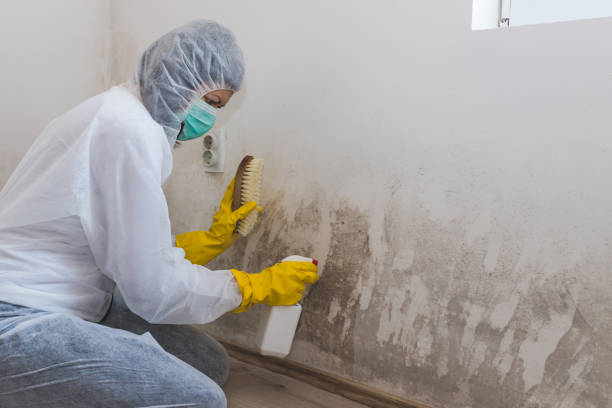 Best Crawl Space Mold Removal  in Hudson, PA
