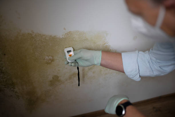 Best Commercial Mold Removal  in Hudson, PA