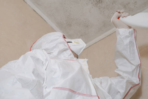 Best Mold Remediation  in Hudson, PA